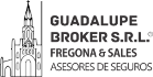 Grupo Guadalupe Broker